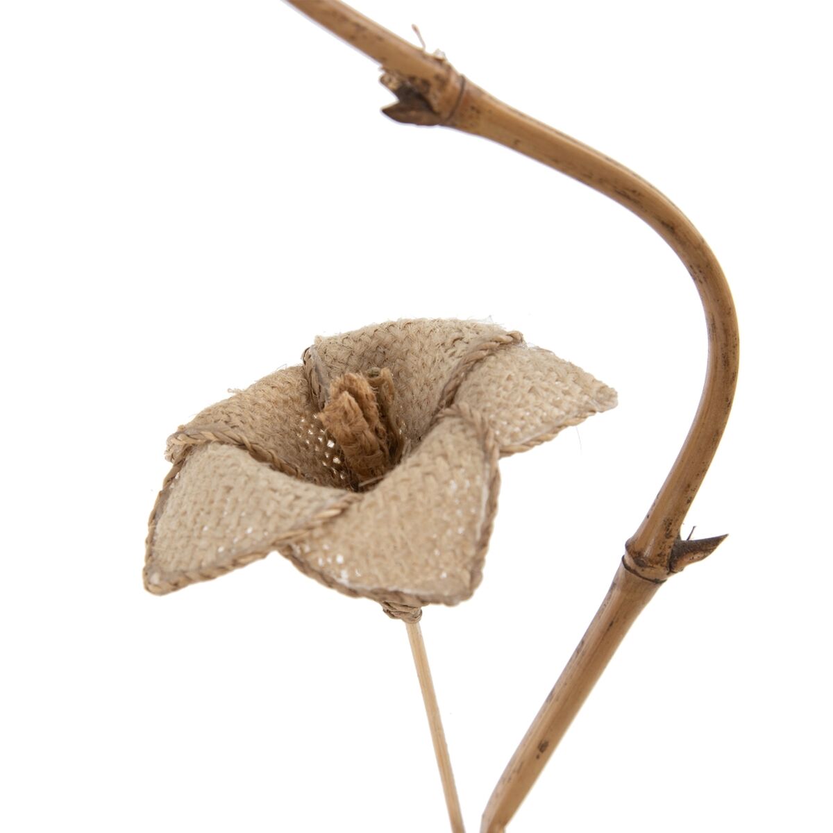 Rama Bege Bambu Fibra natural Flor 27 x 27 x 170 cm